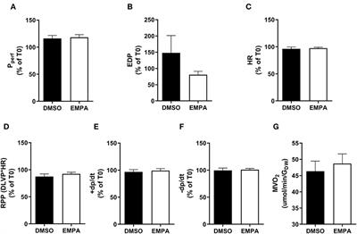 Empagliflozin Decreases Lactate Generation in an NHE-1 Dependent Fashion and Increases α-Ketoglutarate Synthesis From Palmitate in Type II Diabetic Mouse Hearts